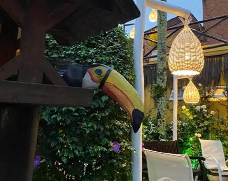 Canto Das Laranjeiras Moa Guarujá Zewnętrze zdjęcie